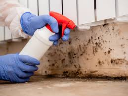 Best Real Estate Mold Inspection in Twentynine Palms, CA